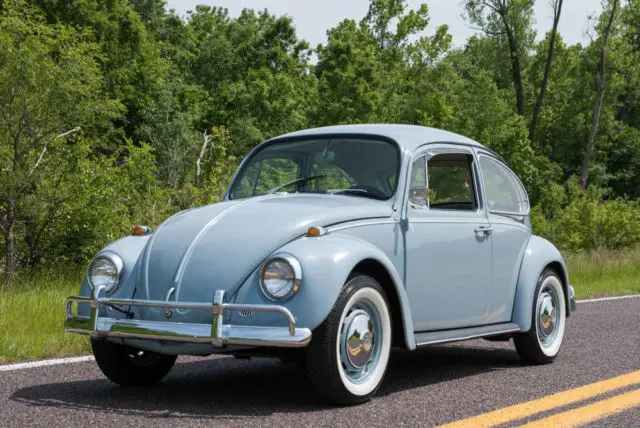 beetle volkswagen