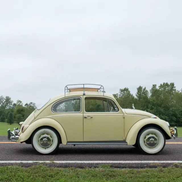 1967 Volkswagen Beetle - Classic