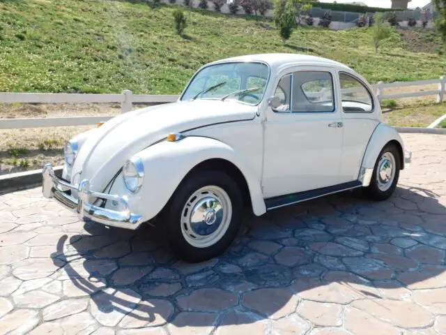 1967 Volkswagen Beetle - Classic