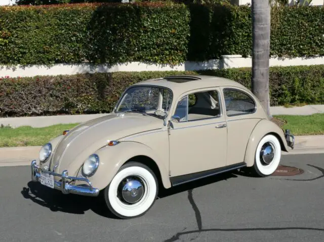 1967 Volkswagen Beetle - Classic