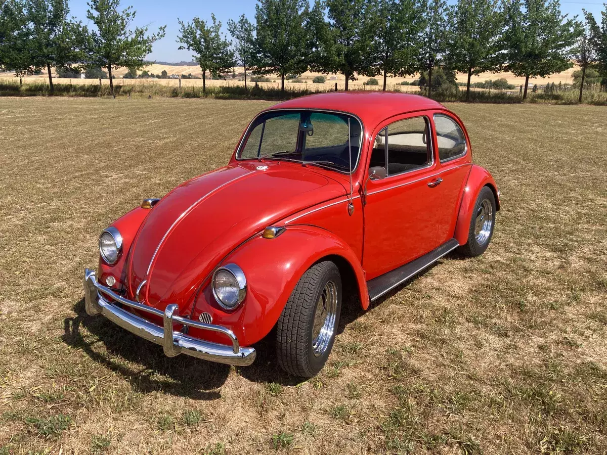 1967 Volkswagen Beetle - Classic