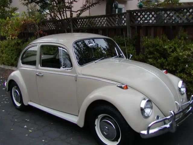 1967 Volkswagen Beetle - Classic