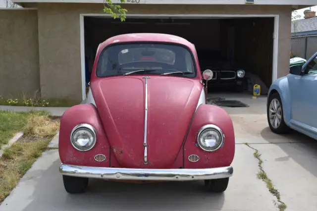 1967 Volkswagen Beetle - Classic