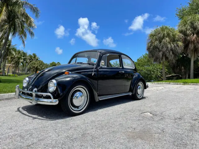 1967 Volkswagen Beetle - Classic