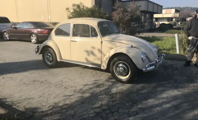 1967 Volkswagen Beetle - Classic