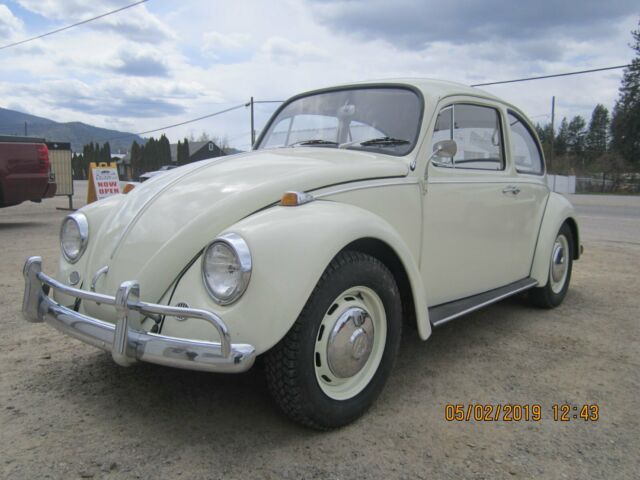 1967 Volkswagen Beetle - Classic