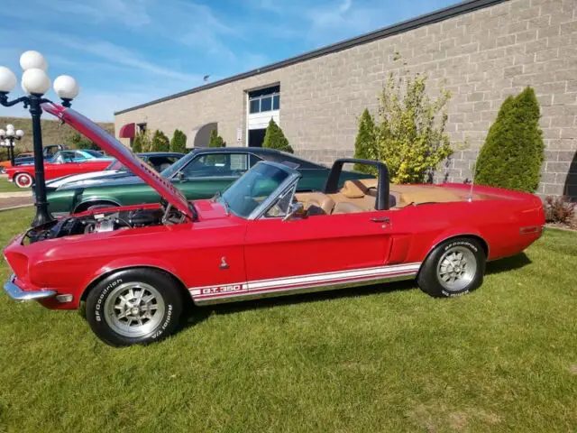 1968 Ford Shelby GT --