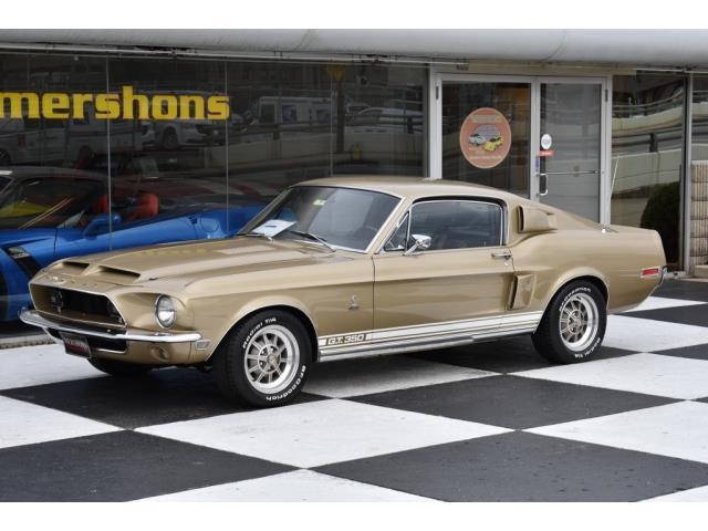 1968 Shelby