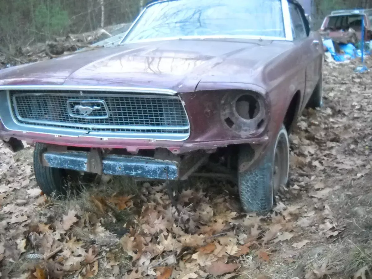 1967 Ford Mustang