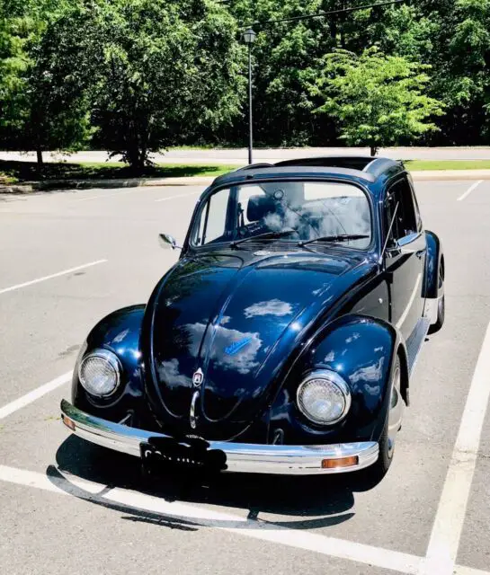 1968 Volkswagen Beetle (Pre-1980)