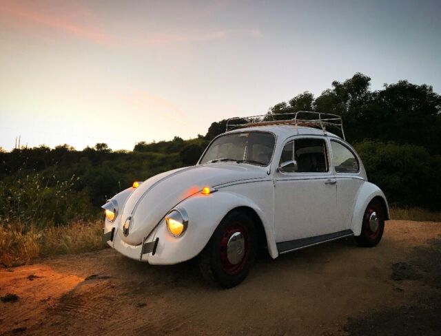 1968 Volkswagen Beetle - Classic