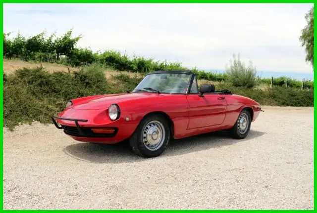 1969 Alfa Romeo Spider