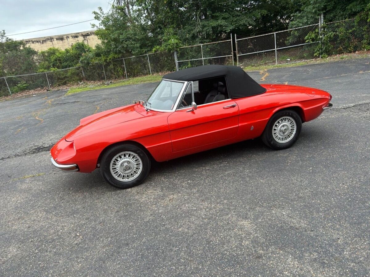 1969 Alfa Romeo Spider