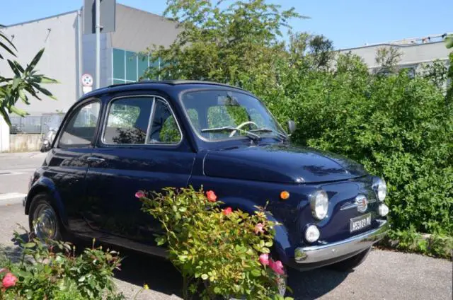 1969 Fiat 500