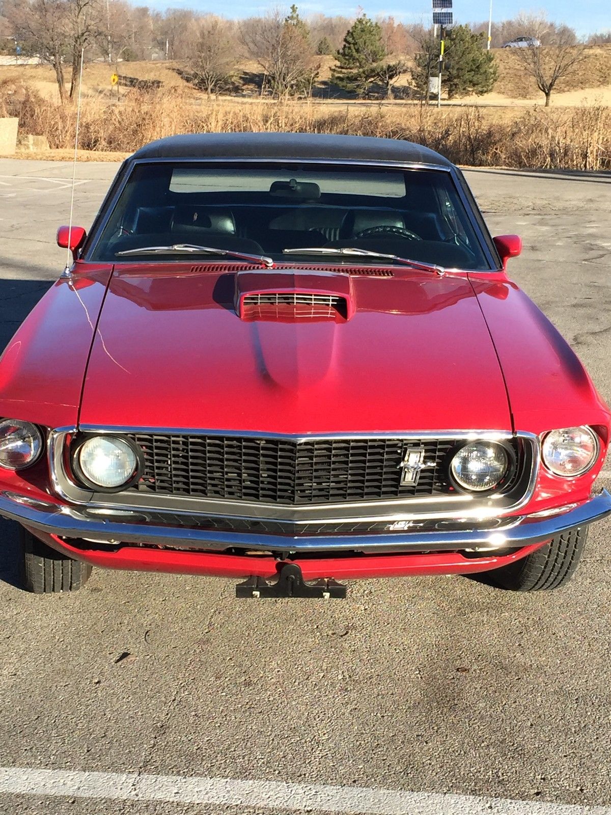 1969 Ford Mustang-  							 							show original title