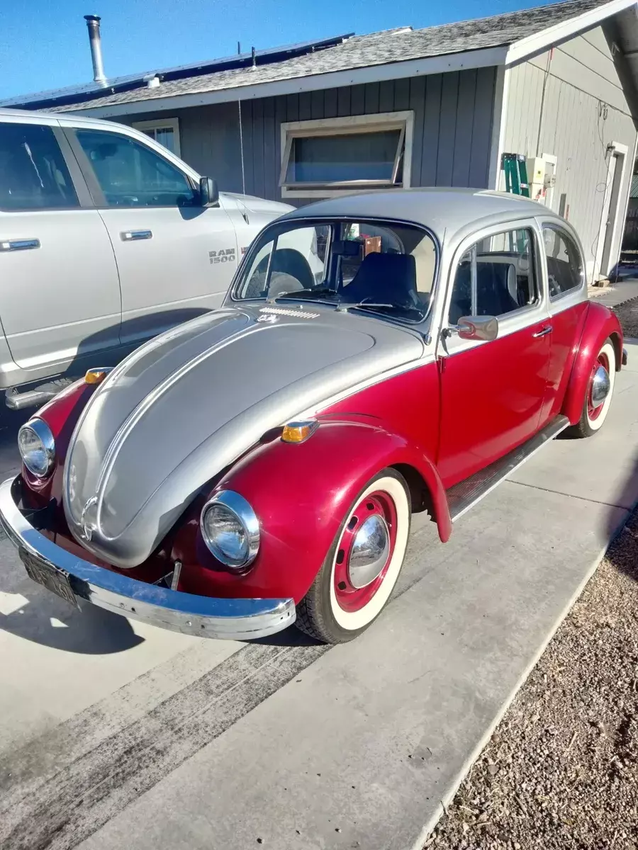 1969 Volkswagen bug