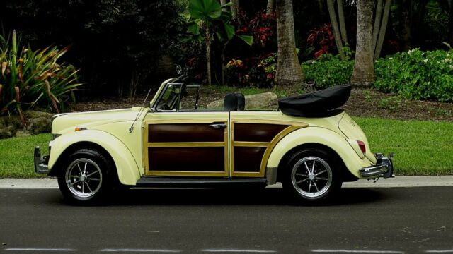 1979 Volkswagen Beetle - Classic CUSTOM