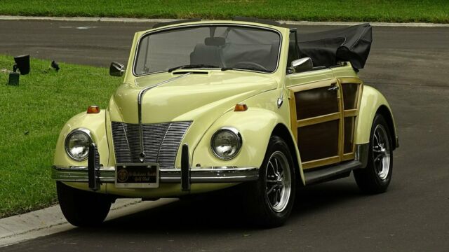 1969 Volkswagen Beetle - Classic CUSTOM