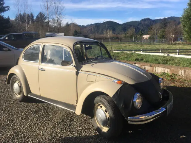 1969 Volkswagen Beetle - Classic