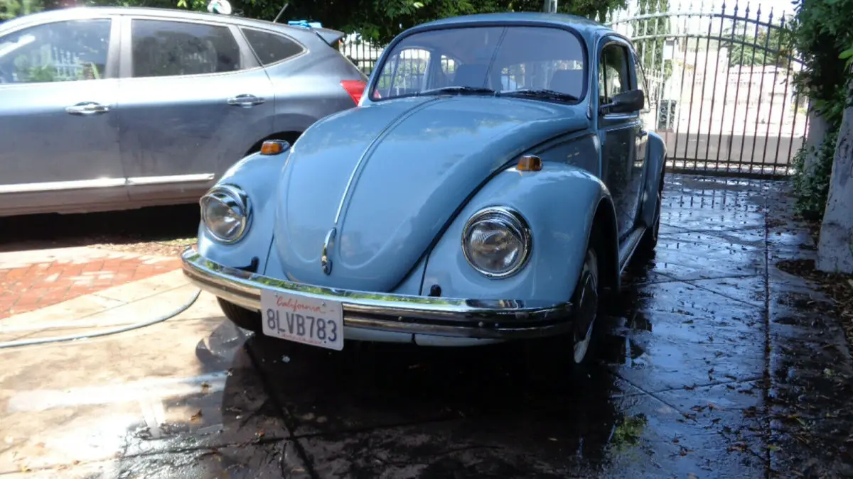 1969 Volkswagen Beetle - Classic beetle