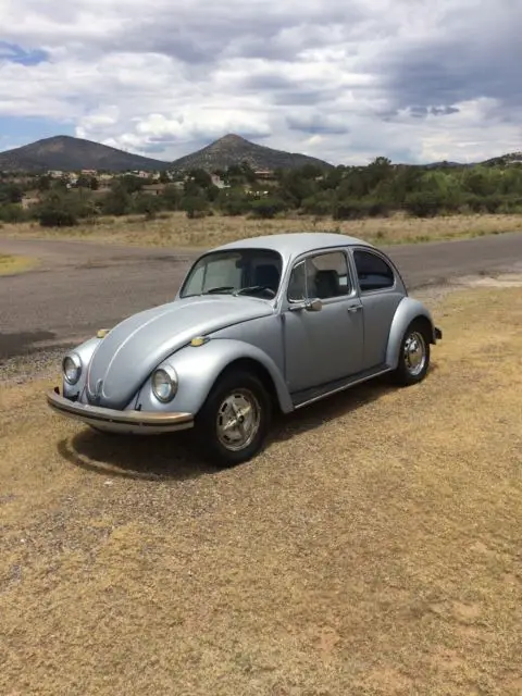 1969 Volkswagen Beetle - Classic