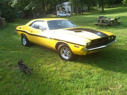 1970 Dodge Challenger New interior , Pistol Grip 4 spd