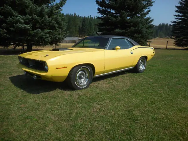 1970 Plymouth Barracuda vinyl roof