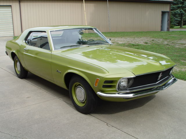 1970 Ford Mustang Stripper