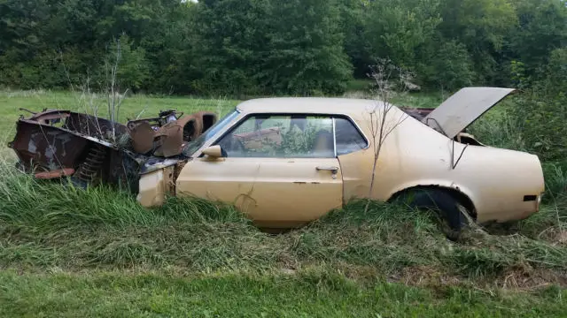 1970 Ford Mustang