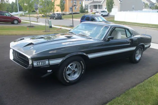 1970 Shelby Cobra GT350