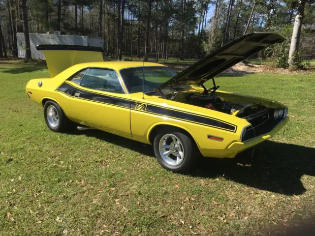 1970 Dodge Challenger Clone T/A