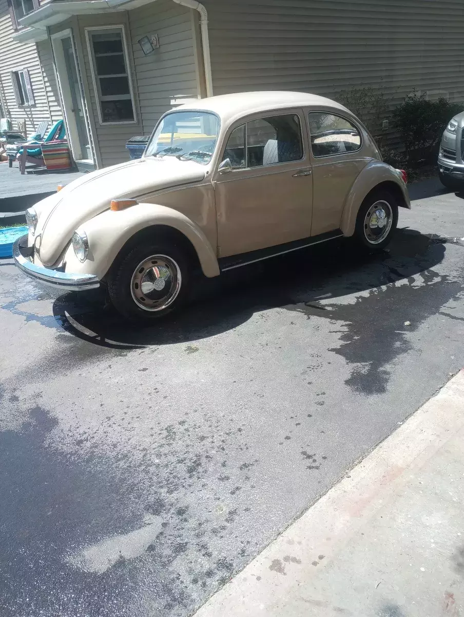 1970 Volkswagen Beetle (Pre-1980)