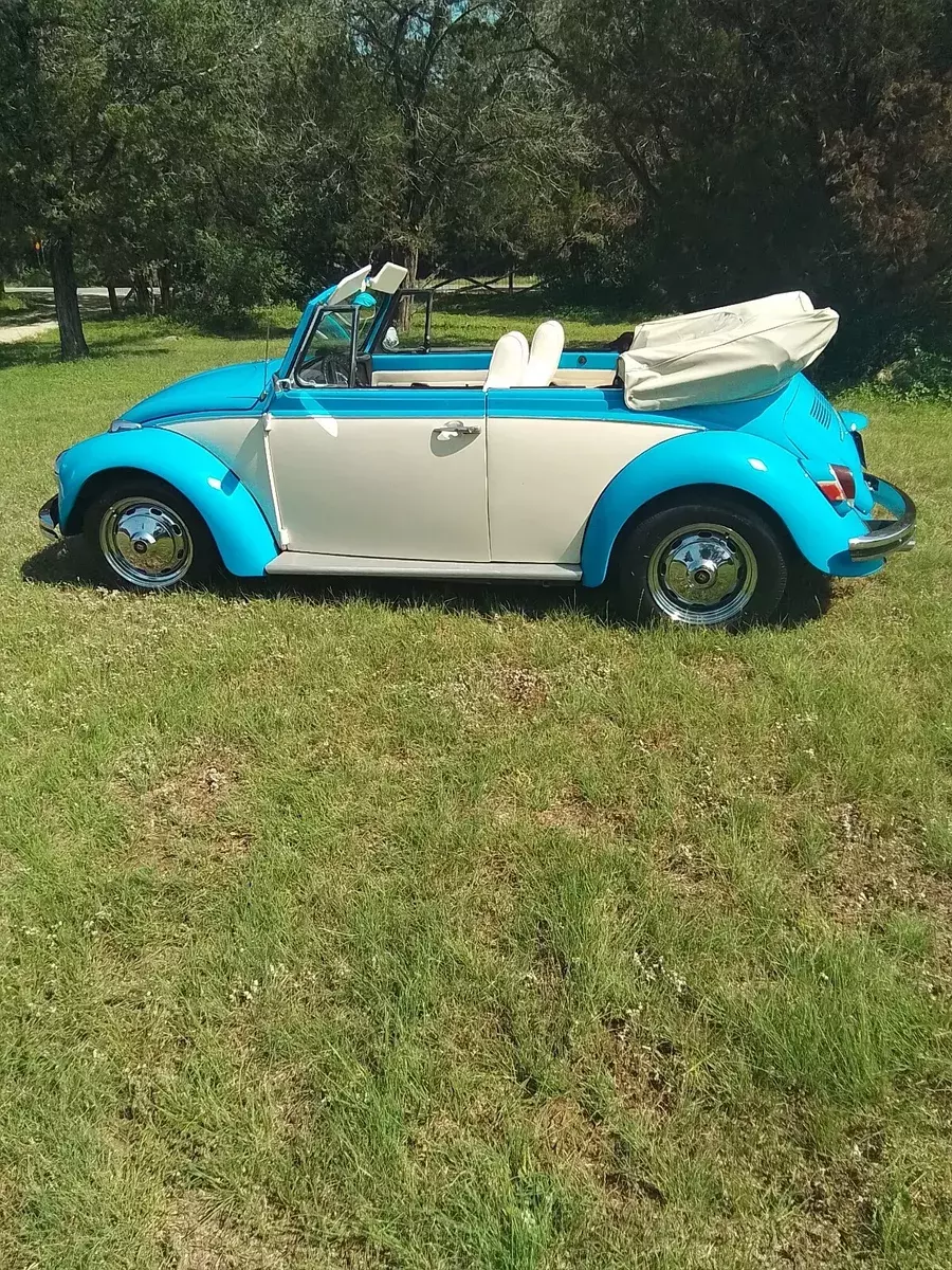 1970 Volkswagen Beetle (Pre-1980)