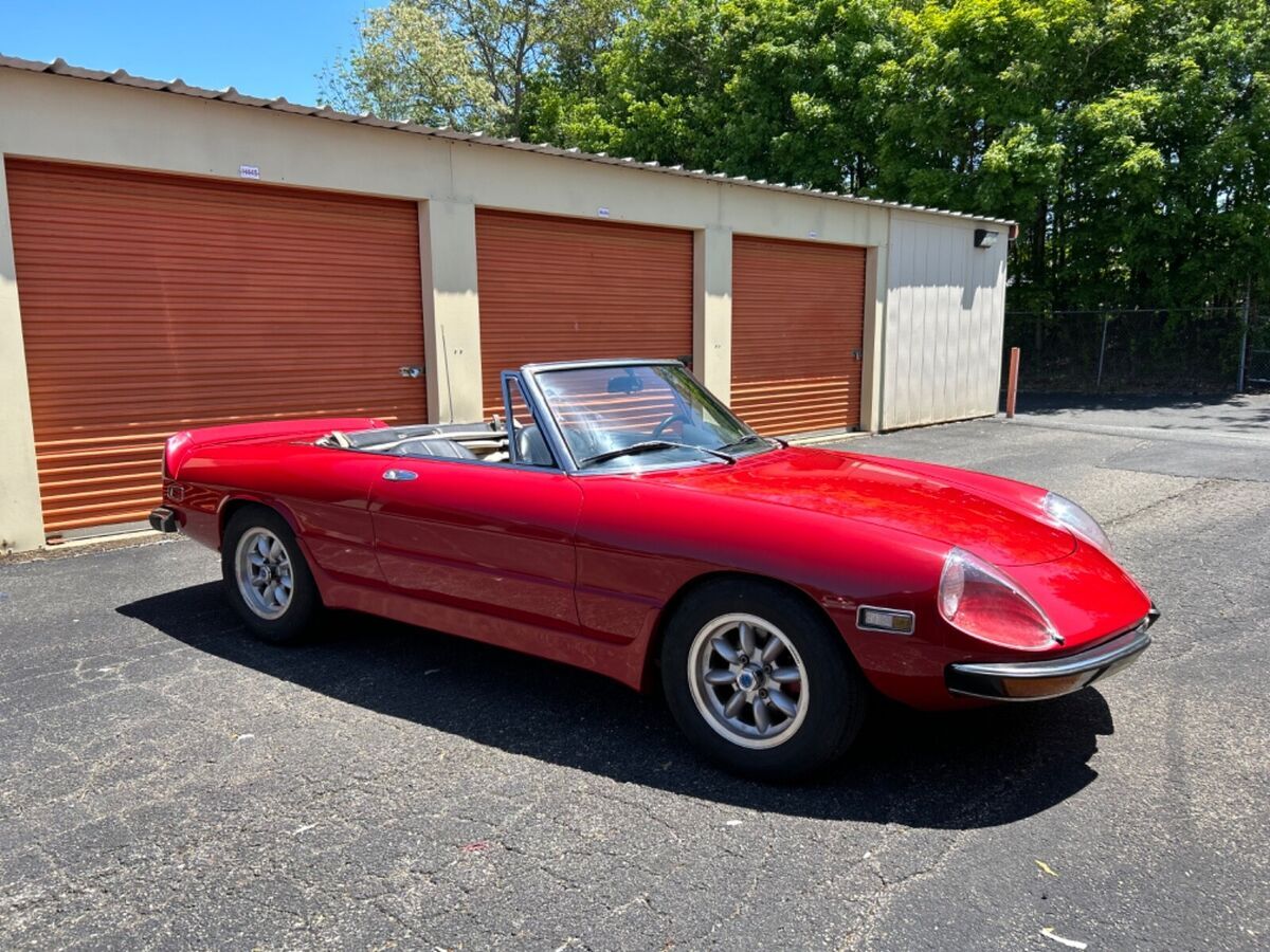 1971 Alfa Romeo Spider