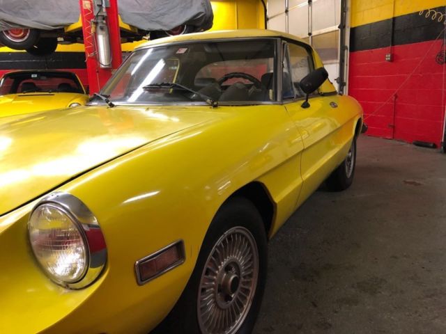 1971 Alfa Romeo Spider Convertible