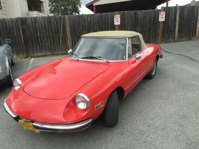 1971 Alfa Romeo Spider