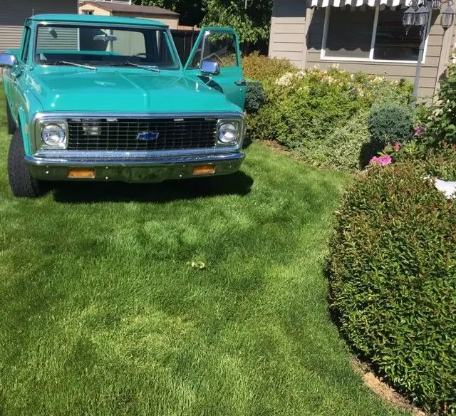 1971 Chevrolet Other Pickups