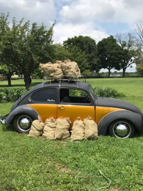 1971 Volkswagen Beetle - Classic