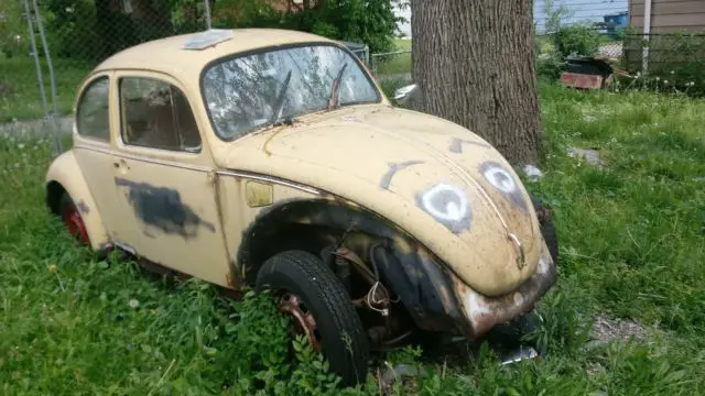 1972 Volkswagen Beetle - Classic