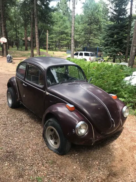 1972 Volkswagen Beetle