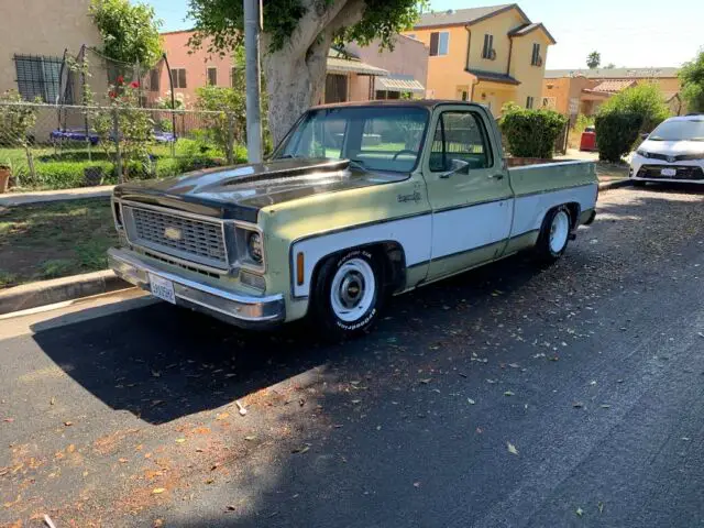 1973 Chevrolet C-10