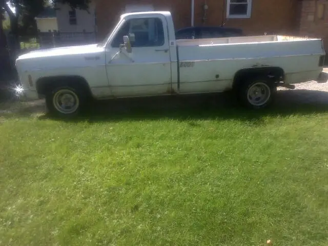 1973 Chevrolet C-10