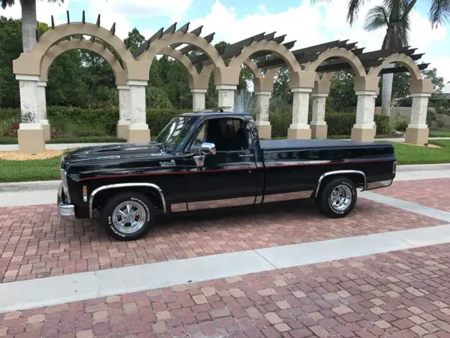 1973 Chevrolet C-10 Custom Deluxe 1/2 Ton Fleetside