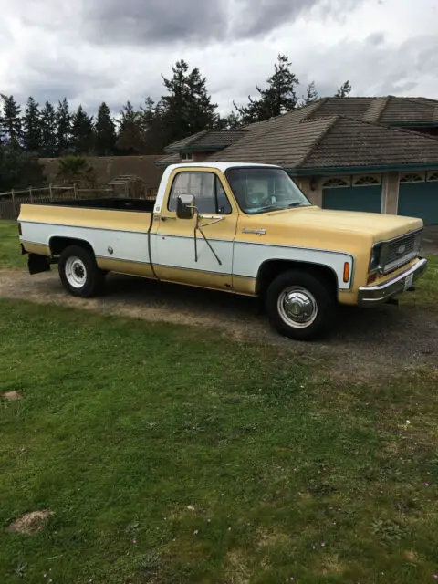 1973 Chevrolet Other Pickups