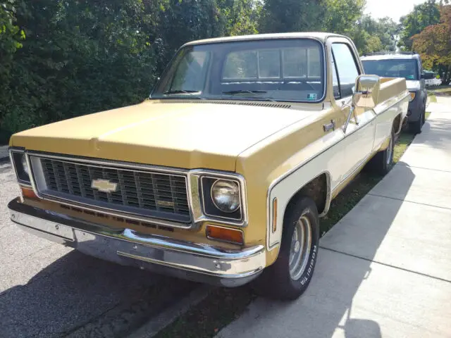 1973 Chevrolet C-10 Cheyenne