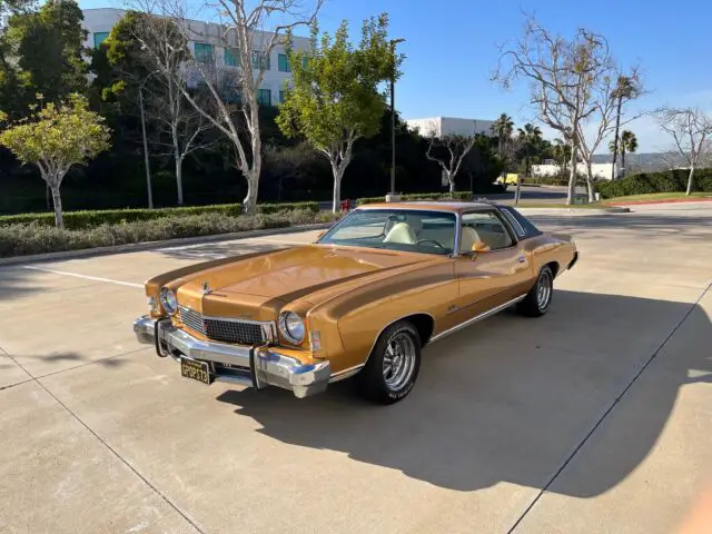 1973 Chevrolet Monte Carlo Coupe Landau