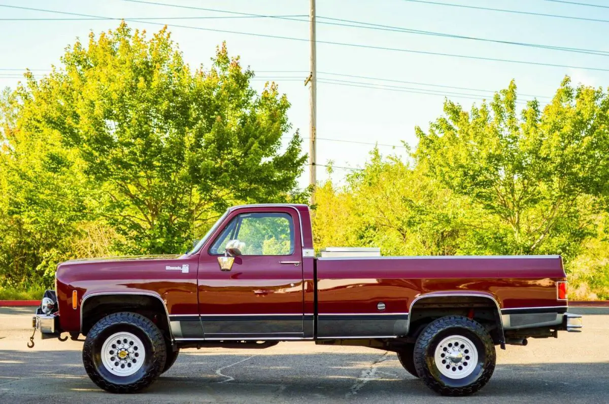 1973 Chevrolet Other Pickups