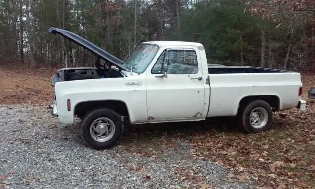 1973 Chevrolet C-10