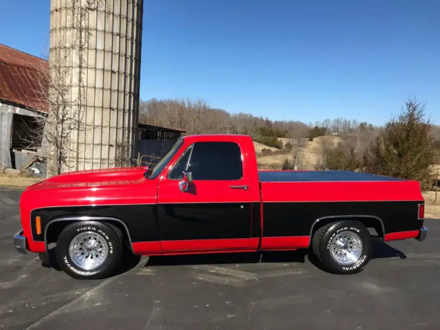 1973 Chevrolet C-10