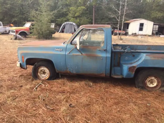 1973 Chevrolet C-10